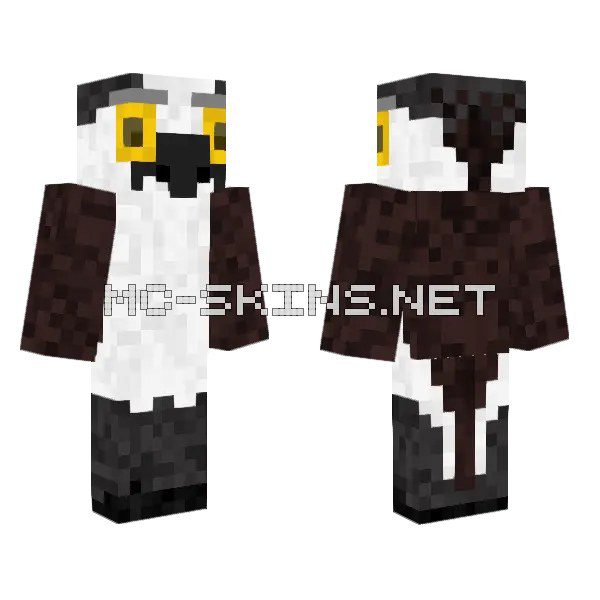 Sooty Tern Outfit