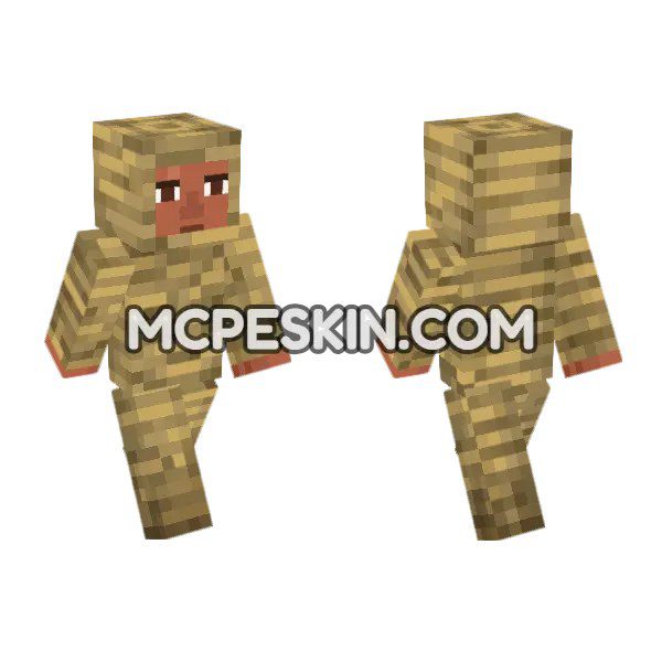 Mummified Noor