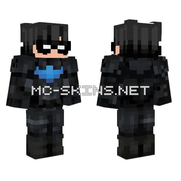 Nightwing Suit