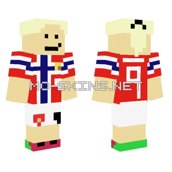 Norwegian Flag Jersey