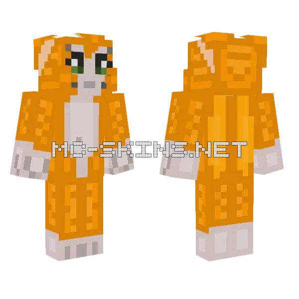 Orange Cat Character