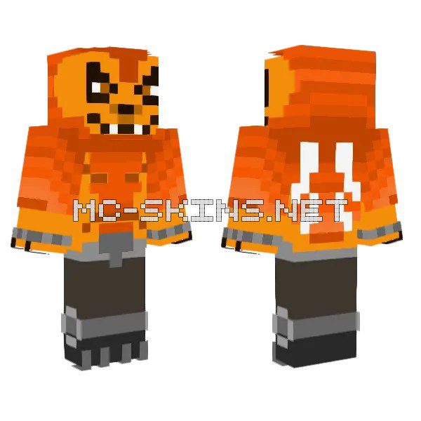 Orange Cat Character