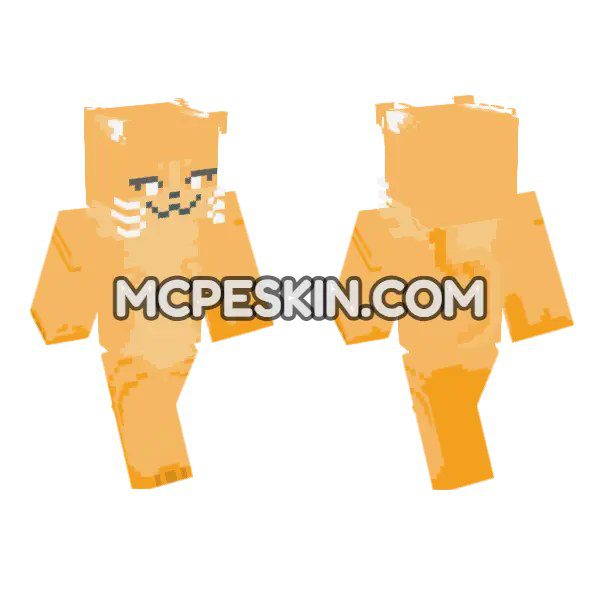 Orange Cat Creature
