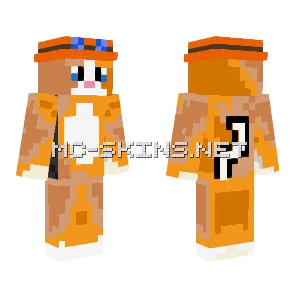 Orange Cat Hat
