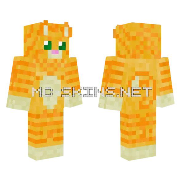 Orange Tabby Cat