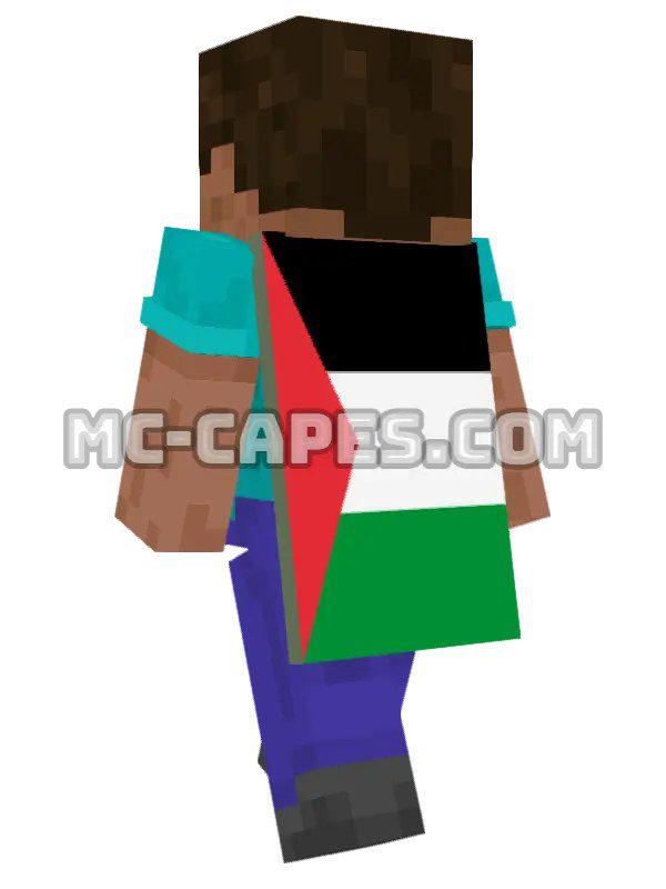 Palestine Flag