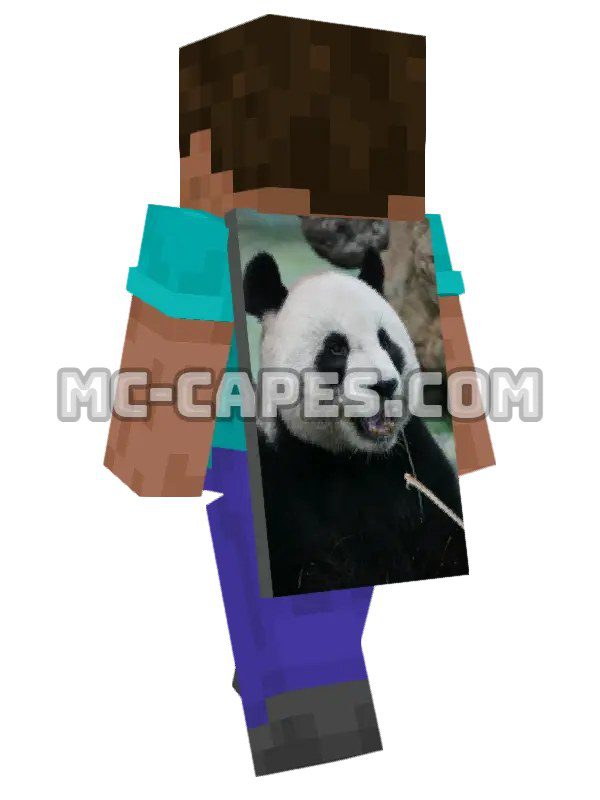 Panda Eating Bamboo