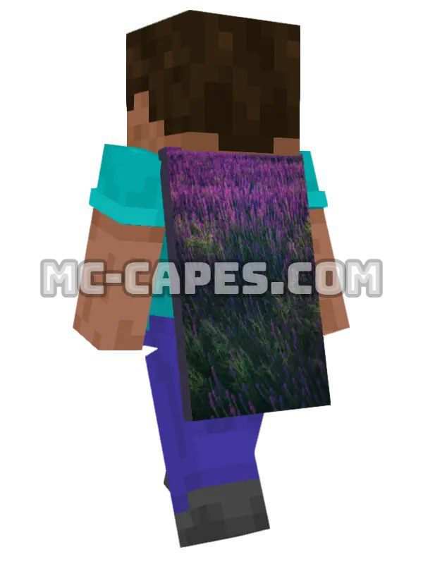 Purple Lavender