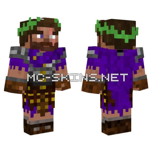Purple Tunic Villager