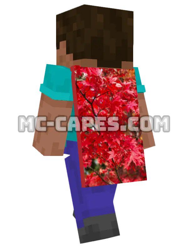 Red Maple Leaves