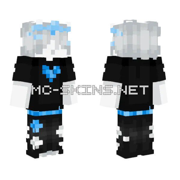 Roblox Skin