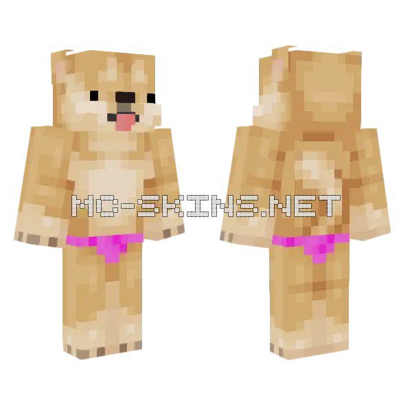 Shiba Inu Pet