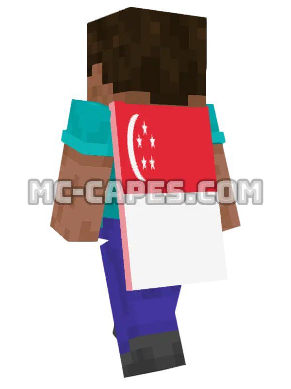 Singapore Flag