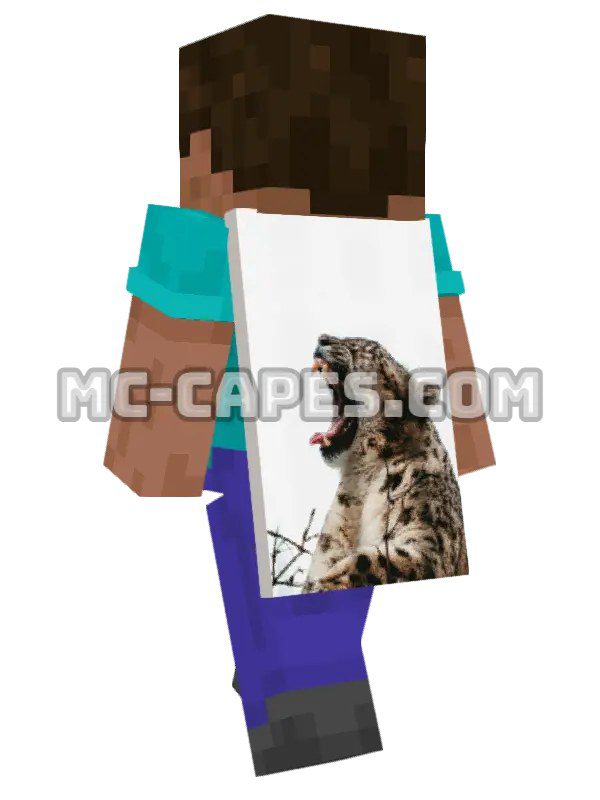 Snow Leopard