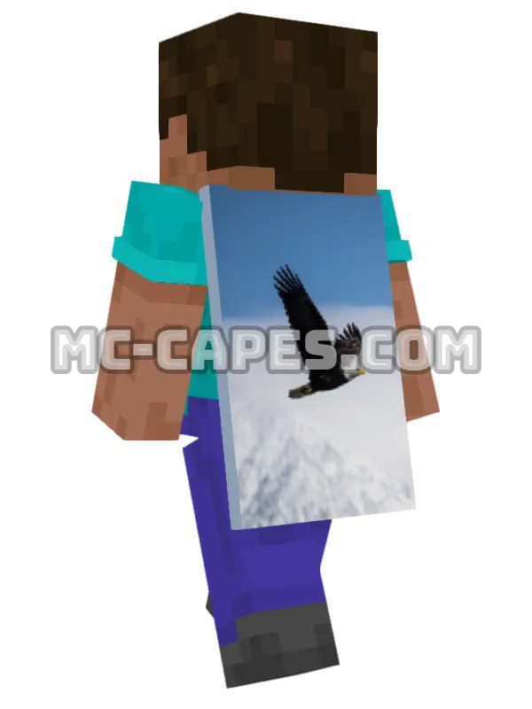 Soaring Eagle
