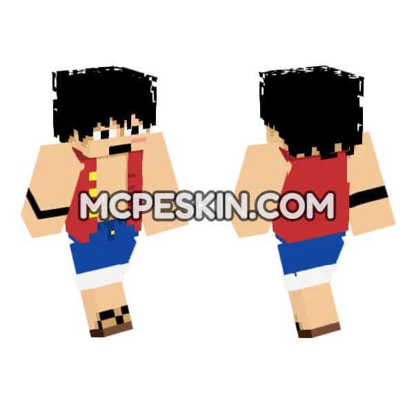 Straw Hat Pirate Outfit
