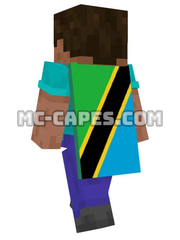Tanzania Flag