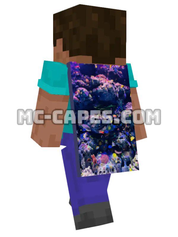 Tropical Fish Reef