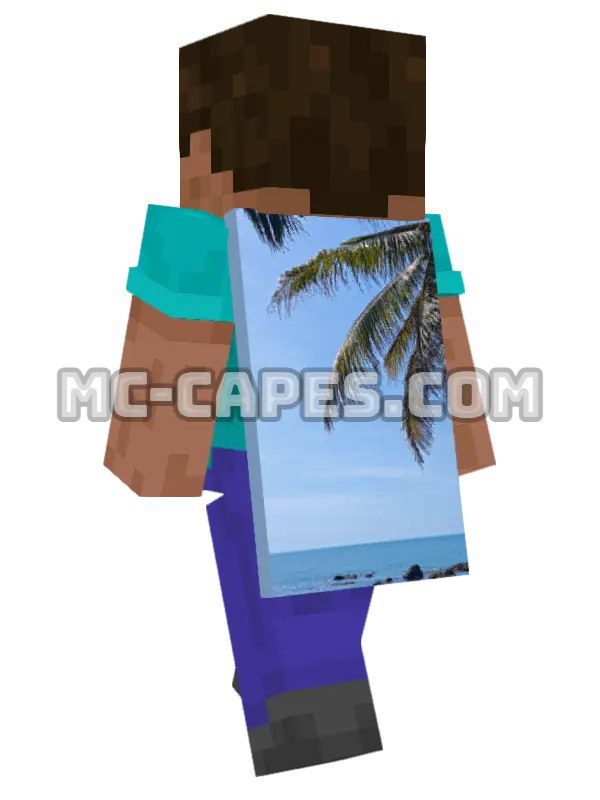 Tropical Palm Beach