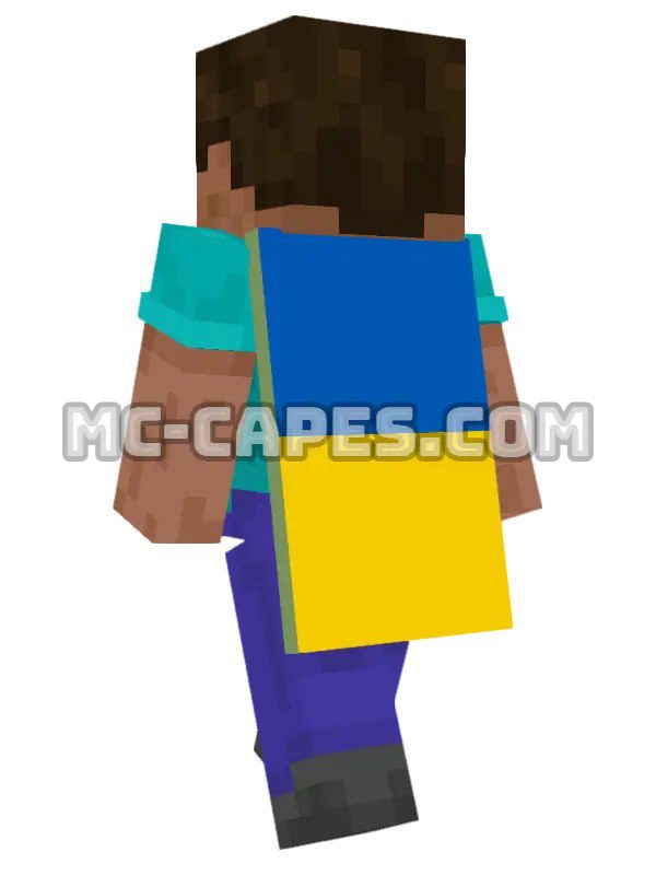 Ukraine Flag