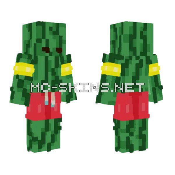 Watermelon Suit