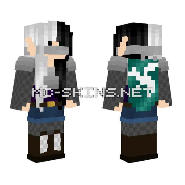 White and Black Dragon Knight