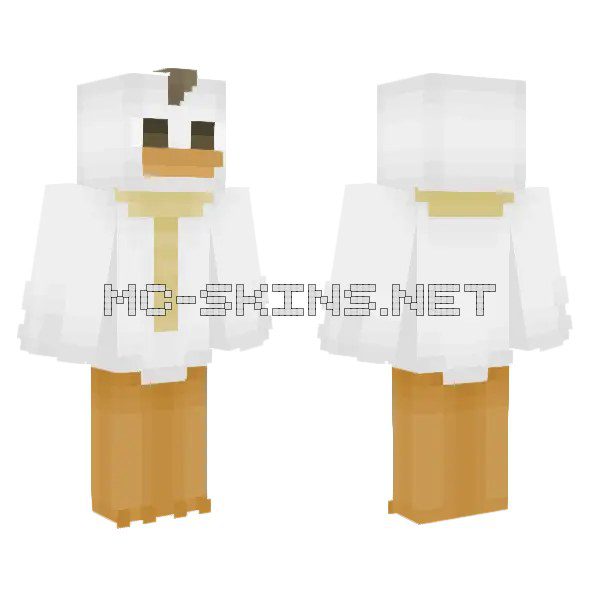 White and Gold Knight