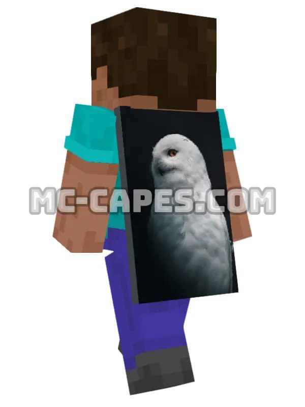 White Owl