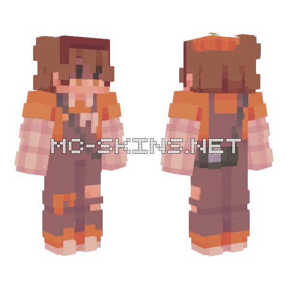 Aperture Skin