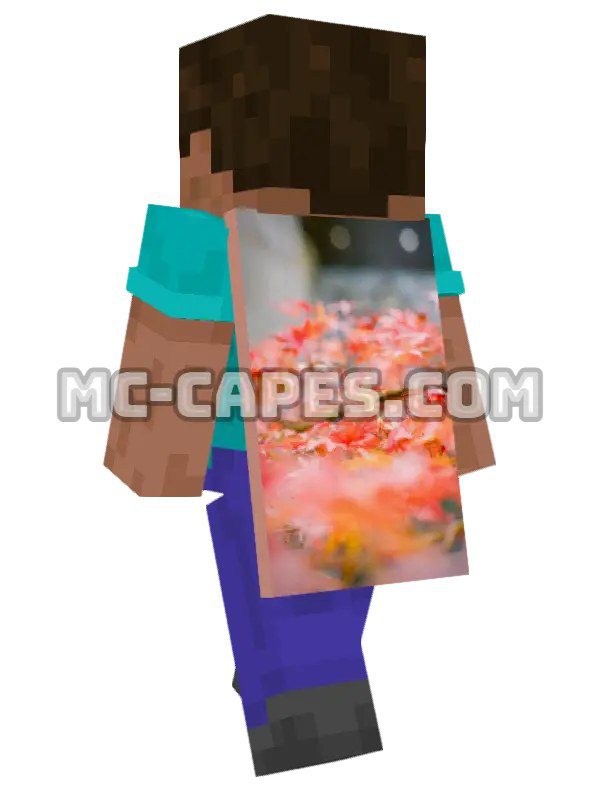 Autumn Maple Leaves