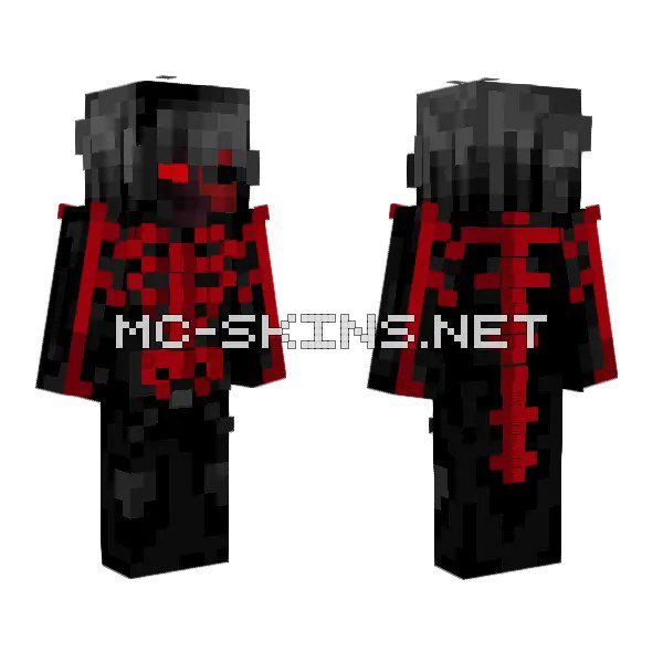 Aytraxion Skin