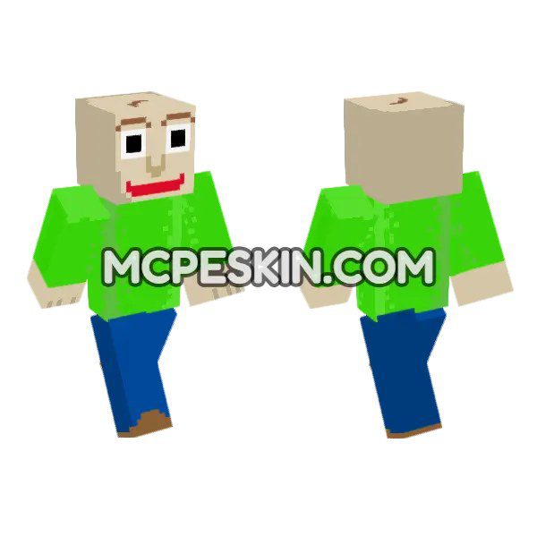 Baldimores Basic School Skin