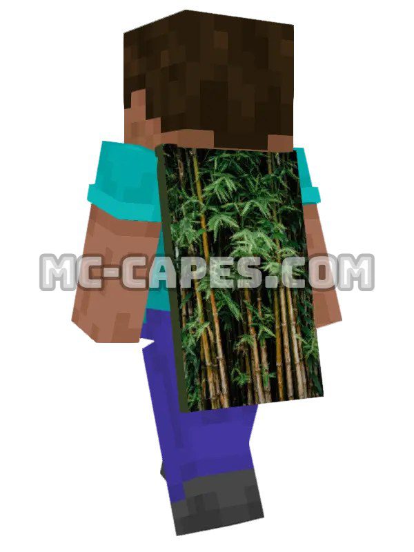 Bamboo Forest