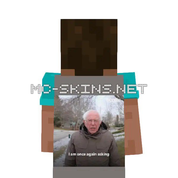 Bernie I Am Once Again Asking For Your Support