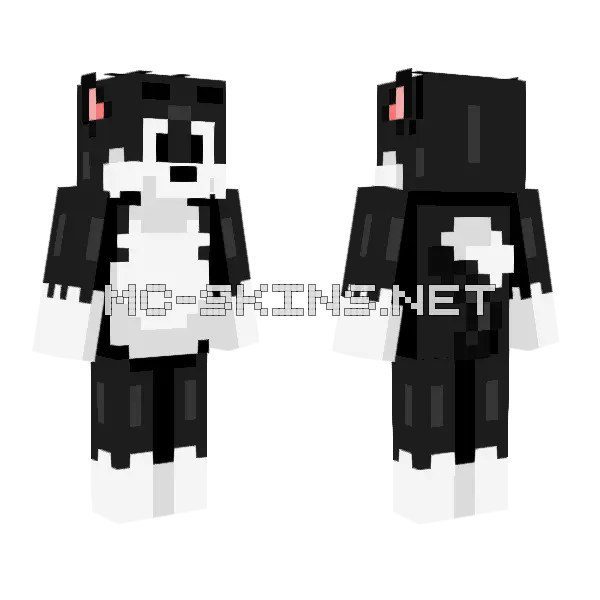 Black Cat Suit