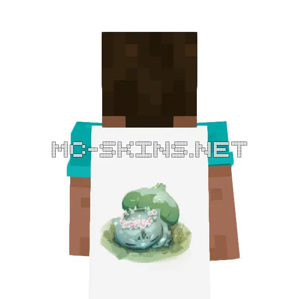 Bulbasaur Sleeping