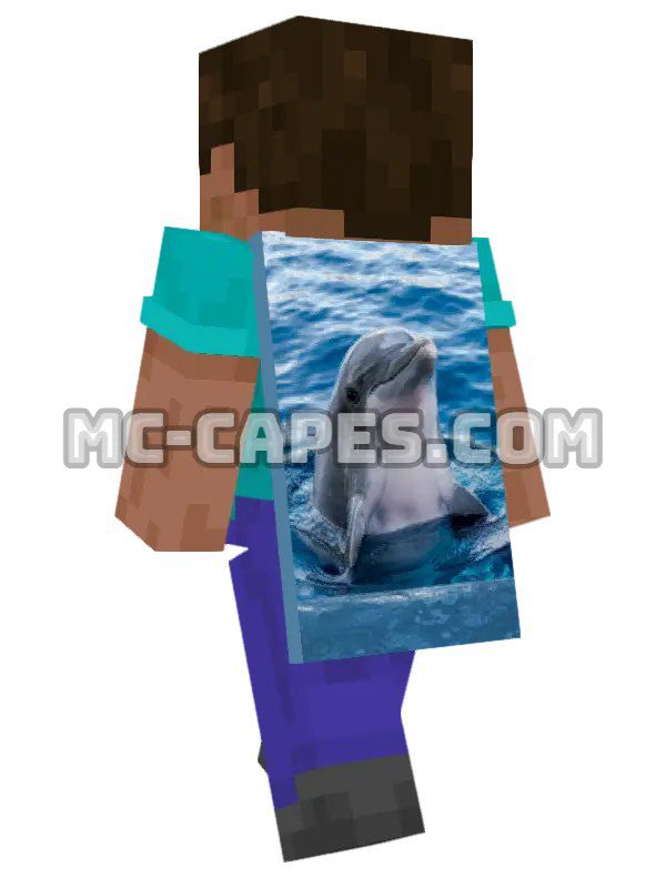 Dolphin