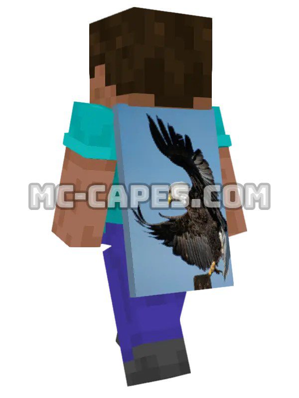 Eagle Flying