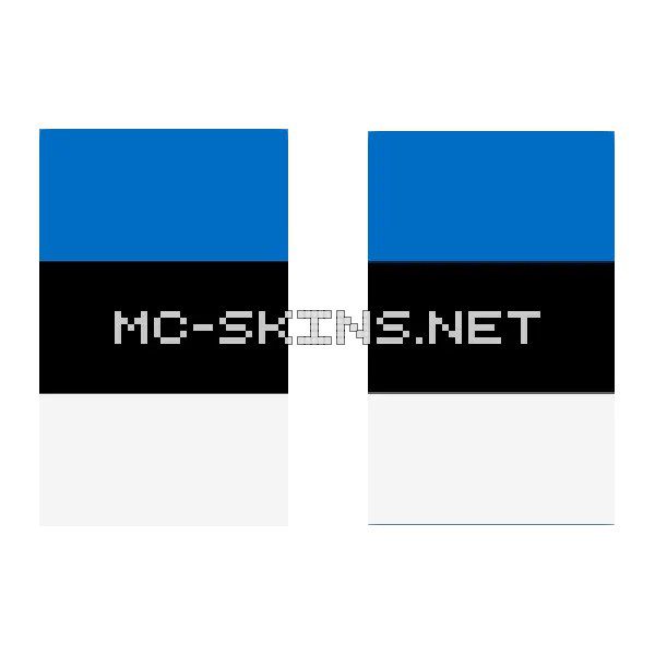 Estonia Flag