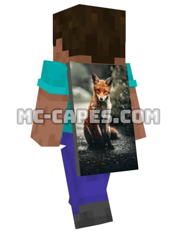 Fox Fur