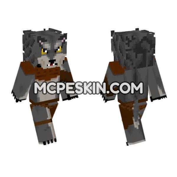 Gray Fang Wolf