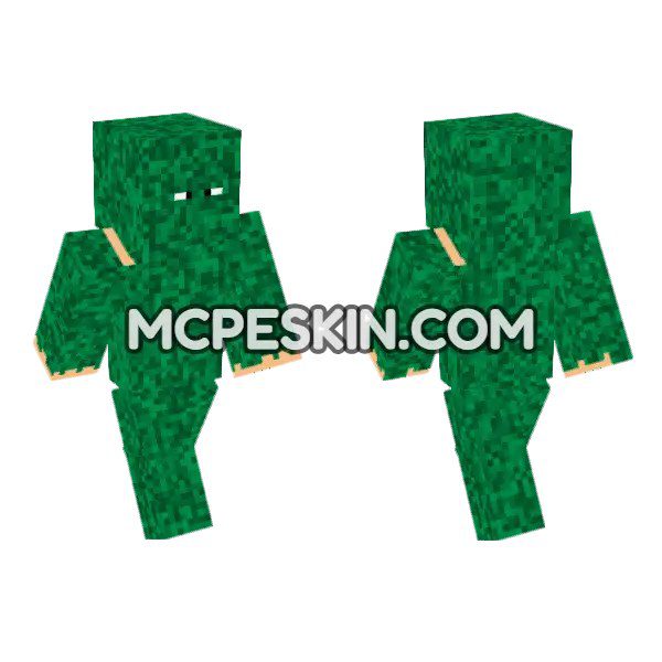 Green Camouflage Outfit
