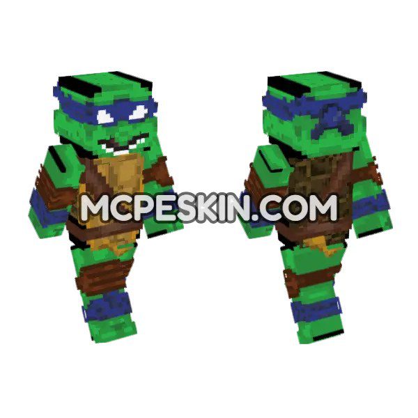 Leonardo TMNT