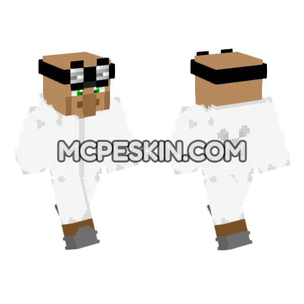 Librarian Villager Scientist