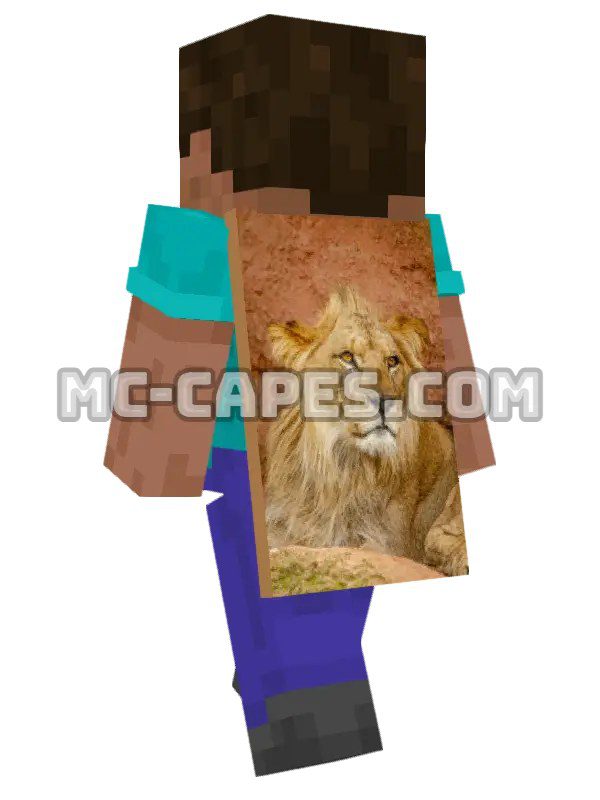 Lion Portrait