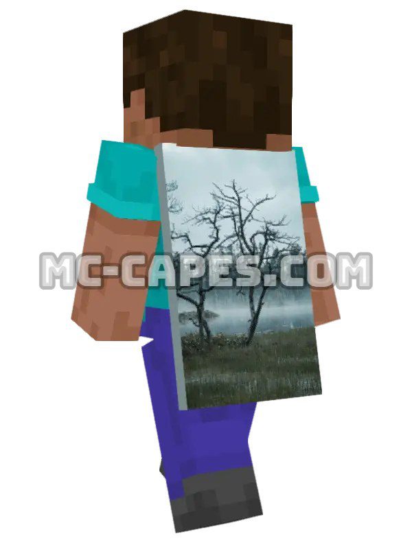 Misty Trees