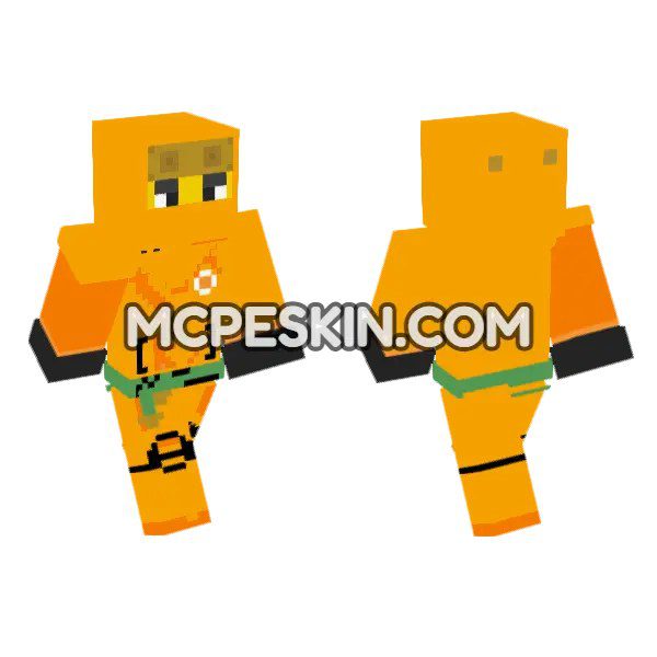 Orange Bee Boy