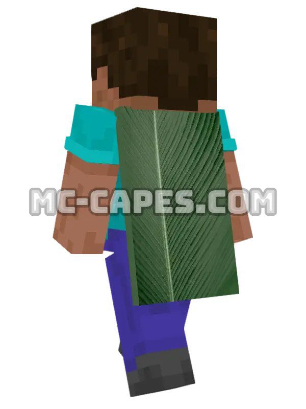 Palm Leaf Texture