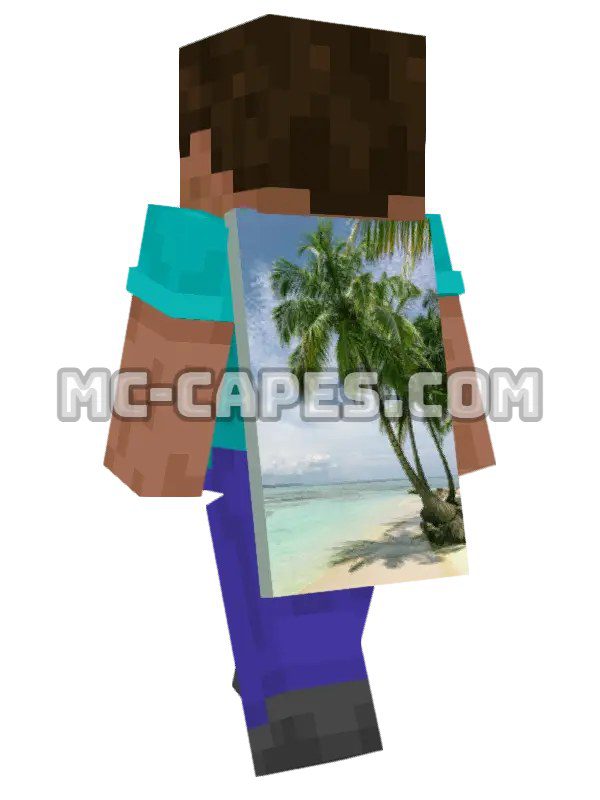 Palm Tree Beach