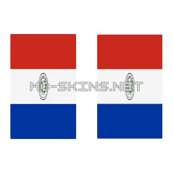Paraguay Flag